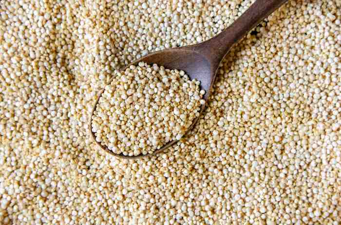 Foxtail Millet